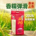 义稻清香米黑龙江长粒香米20斤五常大洋粮油2026秋收新米非真空 1