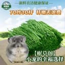 【26年精品烘干】提摩西草兔子龙猫兔饲料牧草兔子干草兔提摩西草 1