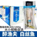 醉鱼夫白丝鱼大白鱼新鲜腌制酒店清蒸鱼酒半成品大白刁整箱商用鱼 1