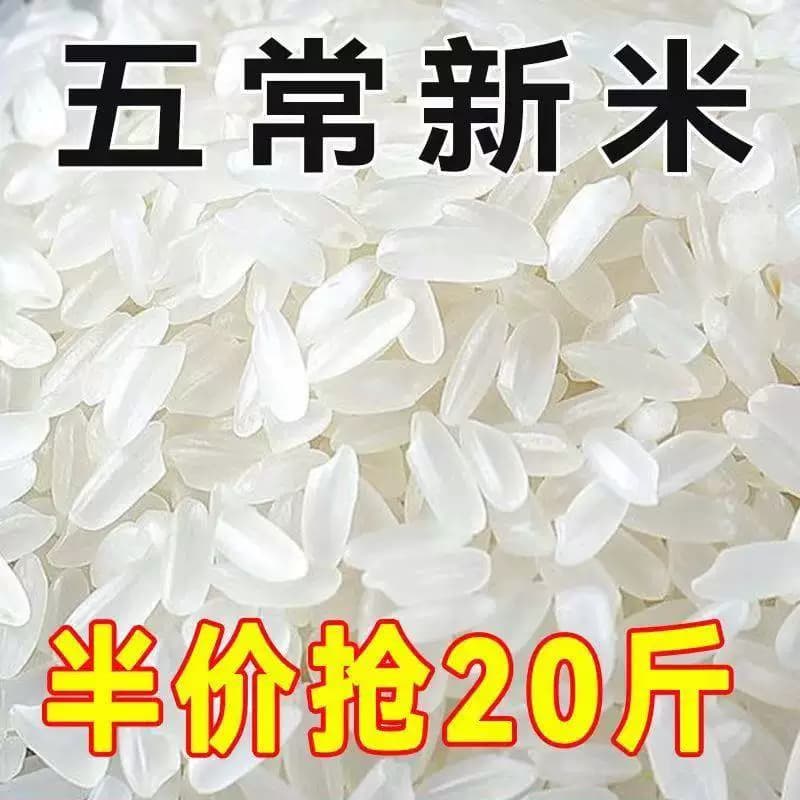 正宗五常稻香米2025年新米五常大米10斤20斤特级东北大米好吃不贵