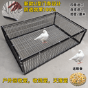 天落笼户外家用屋顶厂房回收鸽子笼活络撞门信鸽自动门进鸽子神器 1
