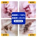 派迪诺猫咪狗狗洗耳液耳螨专用滴耳液宠物耳朵清洁马拉色菌洁耳液 3
