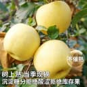 顺丰黄金奶油富士苹果新鲜水果应当季整箱山东现摘礼盒包邮10 3