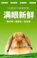 【26年精品烘干】提摩西草兔子龙猫兔饲料牧草兔子干草兔提摩西草 3
