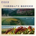 【保价双11·顺丰】贵州珍酒大珍2021真实年份53度酱香白酒500mL 3