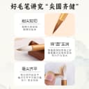 小楷毛笔狼毫兼毫大白云中楷羊毫学生书法国画专用初学者练字套装小学生小白云文房四宝专业勾线入门科学写字 3