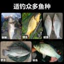 龙王恨野战蓝鲫青春版香腥蓝鲫X5野钓鲫鱼饵料速攻2号九一八腥版 5
