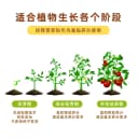 花肥谷多肉肥料缓释营养颗粒家用养花卉绿植氮磷钾长效复合控释肥 5