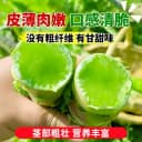 泰国罗汉莴笋种子四季圆叶竹节短粗鸡腿莴笋种籽耐热农家蔬菜种孑 3