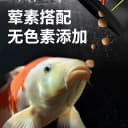 统一锦鲤鱼饲料鱼食黑统一金鱼增体鱼粮育成专用增色不易浑水10kg 3