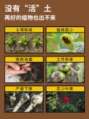 土壤活化剂活化宝矿源水溶速溶黄腐酸钾松土剂美乐棵促生根调节肥 2
