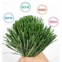 【26年精品烘干】提摩西草兔子龙猫兔饲料牧草兔子干草兔提摩西草 5