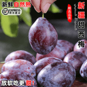 顺丰新疆甜西梅饱满多汁法兰西西梅甜李子应季现摘时令鲜水果整箱 2