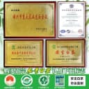 2026新茶竹乡安吉白茶明前特级500g罐装礼盒官方旗舰店正品绿茶叶 2