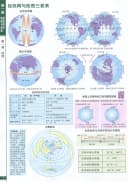 官方正版中国地图备考2026中学地理复习考试地图册完全版 地理图册高中版高考地图册高中地理 高中地图挂图图文详解文科北斗地图册 4