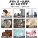 胶水强力502强力胶防水速干焊接剂正品粘得牢多功能黏鞋胶粘鞋专用胶塑料金属电焊胶油性胶修补鞋子粘接木材 3