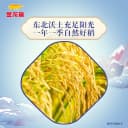 超级桶 金龙鱼臻选稻香贡米5kg*2袋整箱装 东北大米 2