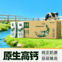 金典纯牛奶整箱优质蛋白高钙学生家庭早餐囤货【4月产】 4