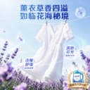 蓝月亮洗衣液家用整箱批正品薰衣草低泡洗衣液持久留香家庭装官方 5