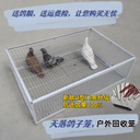 天落笼户外家用屋顶厂房回收鸽子笼活络撞门信鸽自动门进鸽子神器 3