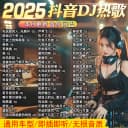 车载U盘歌曲新款2026抖音新歌网红经典音乐dj歌曲优盘无损音质32G 2