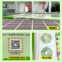 外研社丽声瑞格叔叔自然拼读法3点读版少儿英语Phonics教材 小学拼读培训通用教材 幼儿英语启蒙书自然拼读教材3英语自然拼读教程 3