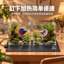 石墨烯恒温智能爬宠加热垫宠物斗鱼缸角蛙寄居蟹乌龟缸加温控温器 2