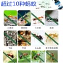 杀蚂蚁药家用室内非无毒防治灭红黑蚁杀白蚁户外全窝厨房除蚂蚁端 2