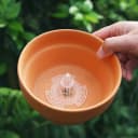 花盆底孔网垫塑料兰花沥水罩多肉盆栽防漏土网垫片垫底网透气漏水 4