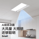 奥普Smart智能人感凉霸厨房照明二合一集成吊顶厨房冷霸LC301S 2