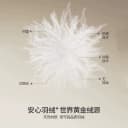 F4鹅绒保暖羊毛蚕丝天丝保暖衣女士秋冬加厚发热秋衣秋裤套装 3