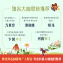 乐乐趣 莉莉兰的小虫虫自然启蒙绘本蒙氏早教绘本0到6岁宝宝绘本科普读物幼儿园阅读0到6岁宝宝早教书籍睡前启蒙小故事幼儿启蒙书Q 5