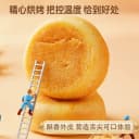 千丝肉松饼整箱5斤早餐肉松糕点零食品小吃蛋糕点心面包年货囤货 3