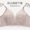 芬腾内衣女大胸显小无钢圈蕾丝聚拢防下垂收副乳胸罩女士文胸薄款 3