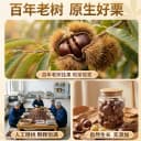 2025栗客行动迁西生板栗燕山新鲜生板栗大粒新鲜生油栗子产地直发 3