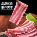 羊整排3斤新鲜羊肉羊排羊肉乳羔羊肋排手抓羊肉烧烤火锅食材年货 4