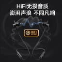 飞利浦蓝牙耳机挂脖挂颈式运动降噪超长续航挂耳式高音质TAN1120 2