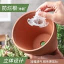 花盆底孔网垫塑料兰花沥水罩多肉盆栽防漏土网垫片垫底网透气漏水 2