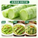 泰国罗汉莴笋种子四季圆叶竹节短粗鸡腿莴笋种籽耐热农家蔬菜种孑 4