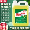 草酸清洁剂厕所瓷砖强力去污洗水泥地板砖马桶神器外墙除垢高浓度 2