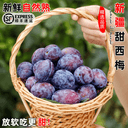 顺丰新疆甜西梅饱满多汁法兰西西梅甜李子应季现摘时令鲜水果整箱 4
