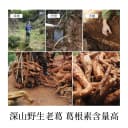 璞匠野生葛根粉正品旗舰店深山老葛纯葛粉江西特产早餐食品代餐粉 2