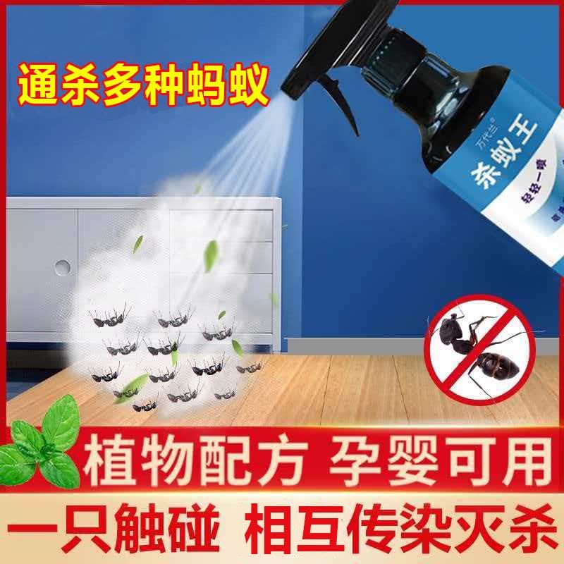 杀蚂蚁药家用室内非无毒防治灭红黑蚁杀白蚁户外全窝厨房除蚂蚁端