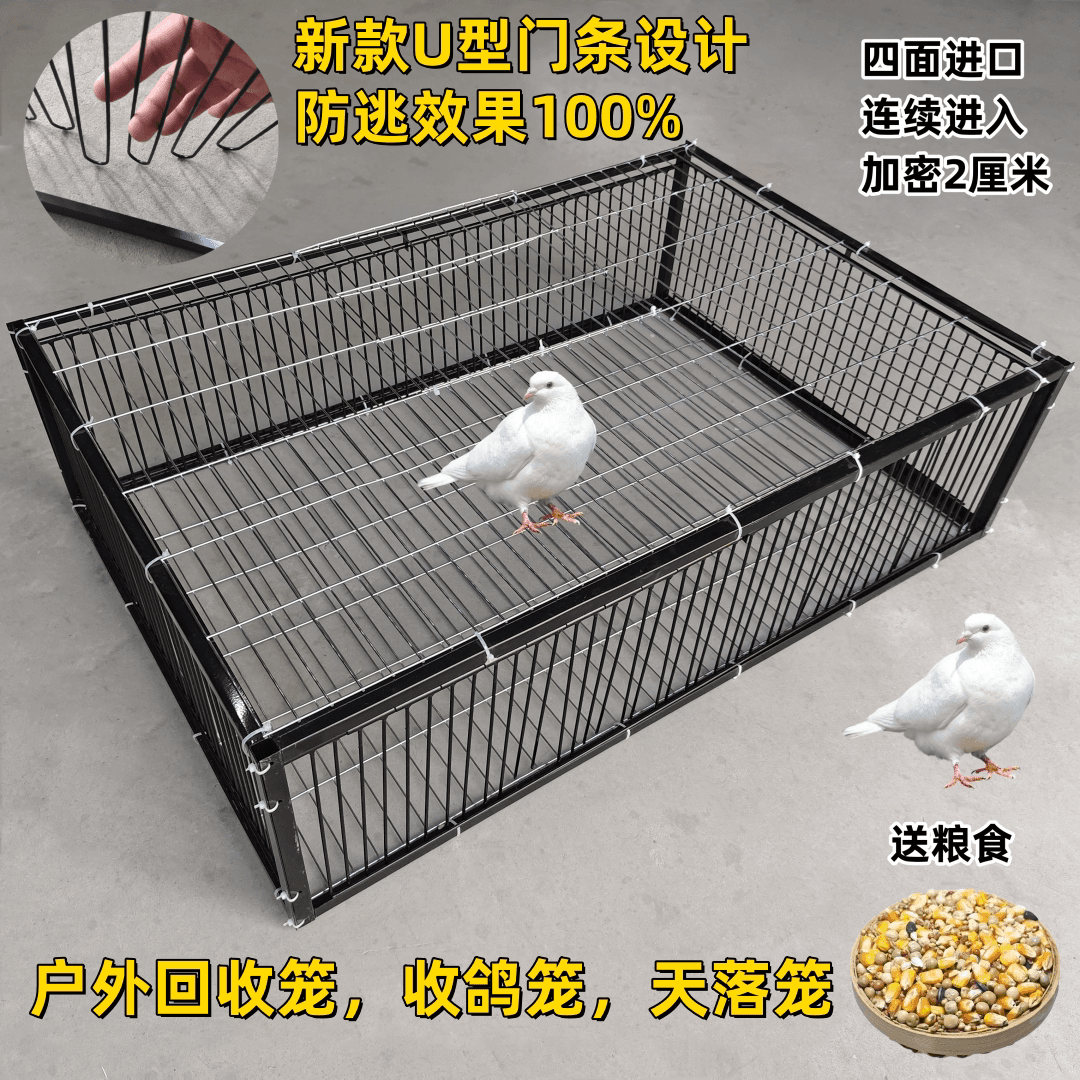 天落笼户外家用屋顶厂房回收鸽子笼活络撞门信鸽自动门进鸽子神器